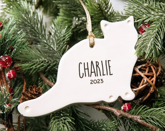 Cat Christmas Ornament - Personalized Gift for Cat Lovers - Custom Ornament with Name