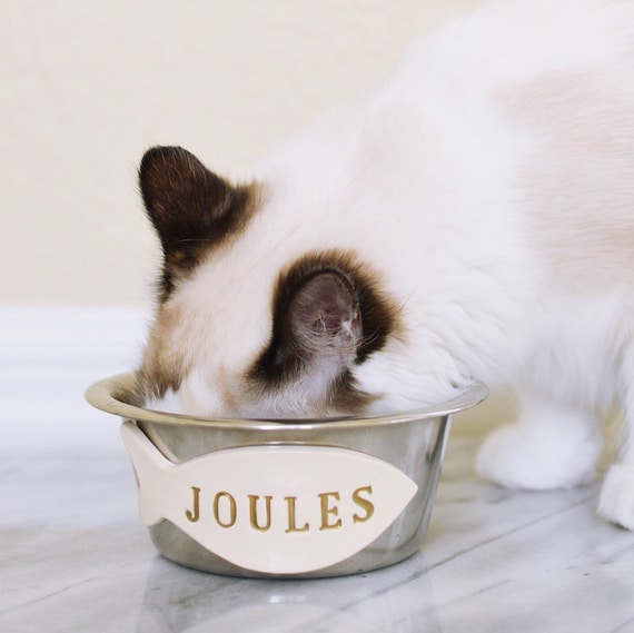 stainless steel water bowl for cats