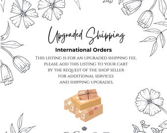 International Shipping Upgrade -  FedEx International Economy or Priority - Additional Services