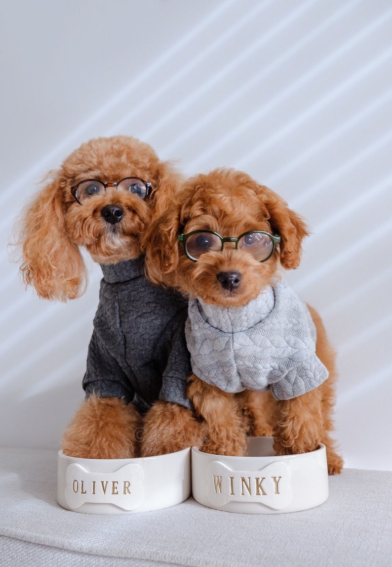 May include: Two brown poodles wearing jumpers and glasses. The left poodle wears a dark grey quilted jumper and sits behind a white bowl labelled OLIVER. The right poodle wears a light grey quilted jumper and sits behind a white bowl labelled WINKY.