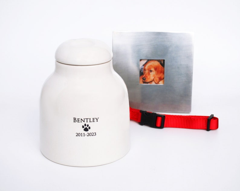 Pode incluir: Urna de cer&acirc;mica branca para animais de estima&ccedil;&atilde;o com uma pegada de pata e o nome Bentley e as datas 2011-2023. Uma moldura de prata com uma foto de um filhote de golden retriever dentro. Uma coleira de cachorro vermelha com uma fivela preta.