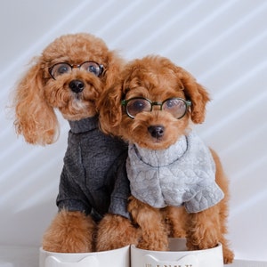 Two small/medium sized orange dogs are shown, each with a dog bowl stamped with their name. The dogs are wearing sweaters and glasses, each have their front paws placed in a bowl. The bowls read OLIVER & WINKY in metallic gold text.