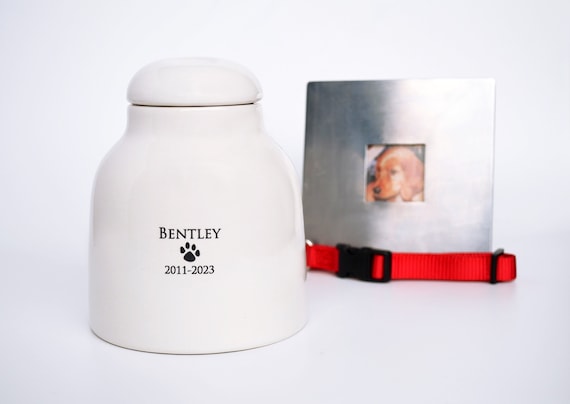 Personalized Dog Urn, Pet Urn, Cat Urn, Pet Memorial, Dog Urn for Ashes, Custom Dog Urn, Dog Memorial, Medium Size, Custom Urn for Any Pet