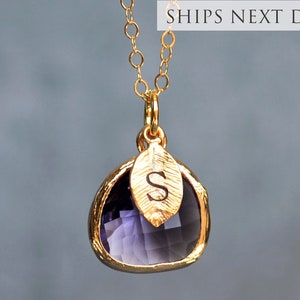 Class of 2024 Grad Gift for Her, February Birthstone Amethyst Necklace with Custom Initial, University or High School Graduation Jewelry