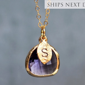 Class of 2024 Grad Gift for Her, February Birthstone Amethyst Necklace with Custom Initial, University or High School Graduation Jewelry