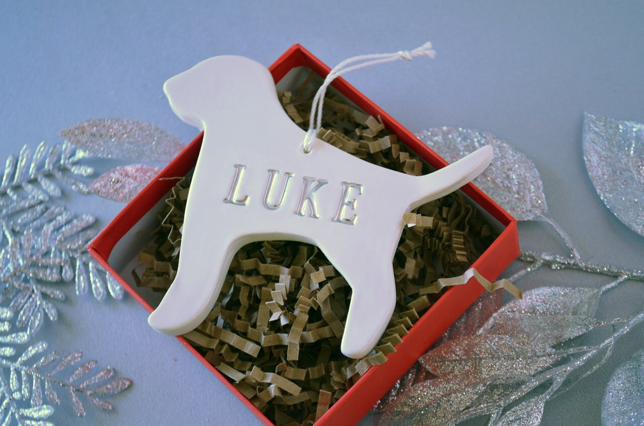 Ornement de Noël Personnalisé Pour Chien avec Nom Dans Différentes Couleurs - Ornement Personnalisé,