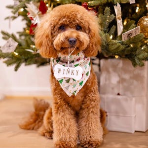 Personlig julgransprydnad med hundben, julklapp bild 4