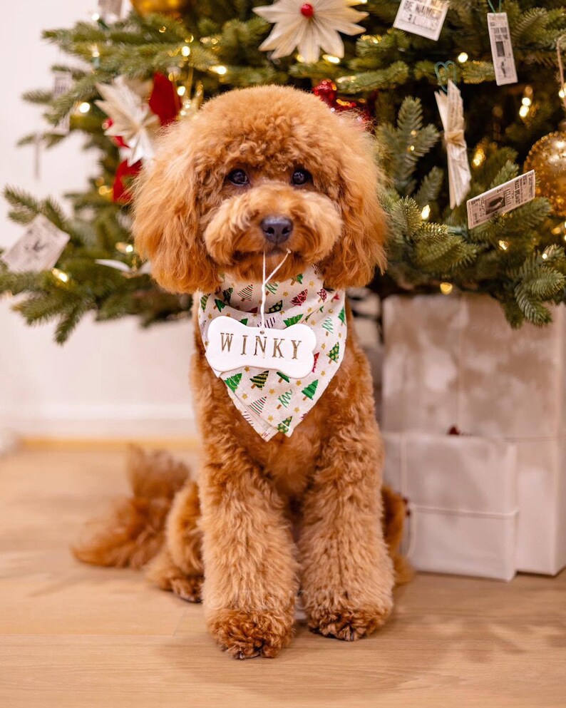 Personlig julgransprydnad med hundben, julklapp bild 4