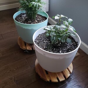 May include: Two potted plants sitting on round wooden plant caddies with wheels. One plant is in a light mint green pot, and the other is in a white pot. Both pots contain dark soil and green foliage, resting on slatted wooden circular bases.