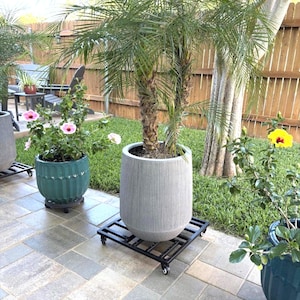 May include: A tall, cylindrical gray planter with a vertical ribbed texture, resting on a black metal plant caddy with four wheels. The planter holds a palm tree and is positioned on a stone patio alongside other potted plants and flowers.