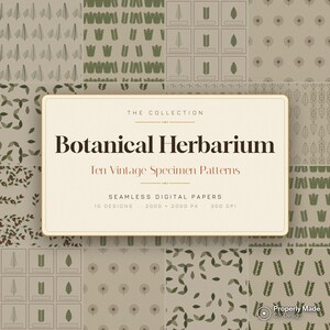 May include: A digital paper collection titled Botanical Herbarium Ten Vintage Specimen Patterns. The image displays ten seamless patterns featuring various green botanical illustrations, including leaves, ferns, and dandelion seeds on a beige background.
