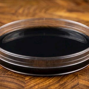 Placas de ágar MEA pré-preparadas | Suprimentos para micologia na cor preta carvão (pacote com 10/20 unidades)