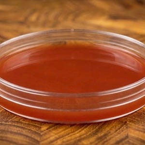 Pode incluir: Um recipiente circular de plástico transparente preenchido com um líquido suave de cor laranja-avermelhada vibrante. O recipiente apresenta um design de perfil baixo com tampa e lados transparentes, permitindo ver a substância viscosa.
