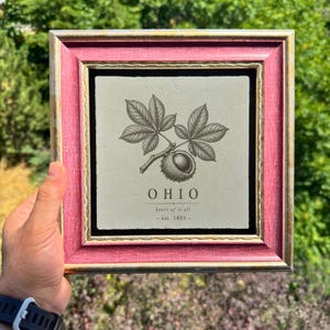 May include: A square stone tile featuring a black botanical illustration of a buckeye nut and leaves, with the text "OHIO", "heart of it all", and "est. 1803", encased in a textured pink and gold wooden frame with a black inner border.