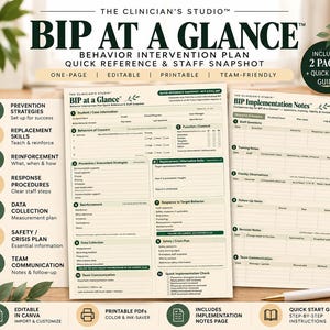 May include: A two-page Behavior Intervention Plan template titled BIP AT A GLANCE. The document includes sections for student information, behaviors of concern, prevention strategies, replacement skills, reinforcement, data collection, and safety plans.