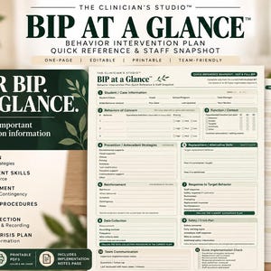 BIP at a Glance Template | Behavior Intervention Plan Quick Reference | Editable Canva PDF | BCBA aba Staff Tool