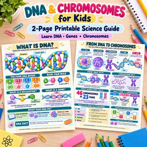 May include: A two-page printable science guide titled DNA & Chromosomes for Kids. The educational sheets feature colourful diagrams of DNA double helices, cell structures, and chromosomes with text explaining genetic concepts and base pairs.
