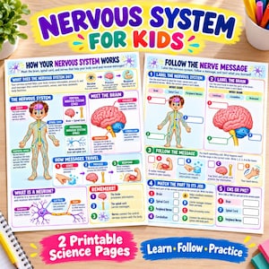 May include: Two educational science worksheets titled Nervous System for Kids, featuring colorful diagrams of the human brain, spinal cord, and nerves. The pages include text, illustrations of a child, and interactive activities to label parts.