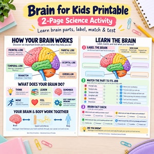 Può includere: Una scheda didattica scientifica di due pagine intitolata Brain for Kids Printable. Le pagine presentano un'illustrazione colorata di un cervello umano con parti etichettate, inclusi i lobi frontale, parietale, occipitale e temporale, il cervelletto e il tronco encefalico.