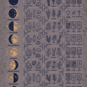 Könnte beinhalten: Ein Poster mit einem Mondzyklus-Diagramm auf der linken Seite, das Phasen von Neumond bis abnehmender Mondsichel beschriftet. Die mittleren und rechten Bereiche zeigen gitterartige Illustrationen von Kristallen, Kräutern und Tarotkarten.