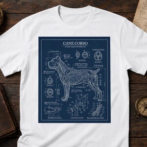 Könnte beinhalten: Ein weißes Kurzarm-T-Shirt mit einer dunkelblauen rechteckigen Grafik auf der Brust. Die Grafik zeigt ein weißes anatomisches Skelettdiagramm eines Cane Corso Hundes mit technischen Beschriftungen und dem Text CANE CORSO.