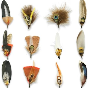 May include: A collection of twelve decorative feather lapel pins featuring various natural patterns, colors, and textures. Each pin displays a unique arrangement of bird feathers, including spotted, striped, and solid brown, white, black, and iridescent blue tones.