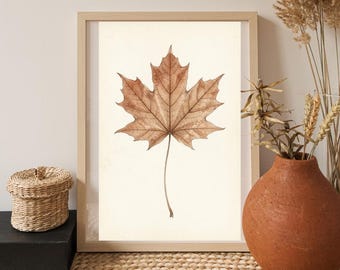 Autumn Maple Leaf Print | Fall Pressed Leaf Wall Art | Minimalist Botanical Poster | Vintage Fall Leaf Art | Boho Neutral Leaf Decor