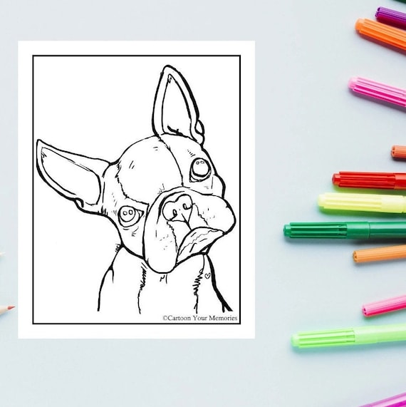 Boston Terrier Coloring Page - Etsy