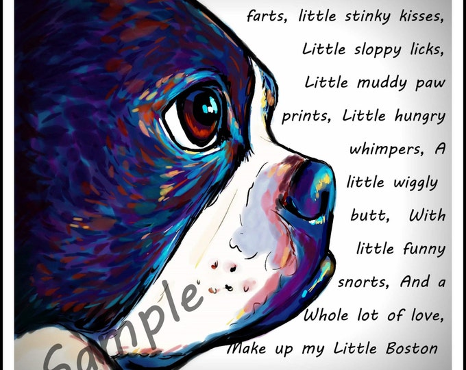 My little Boston Terrier  art print