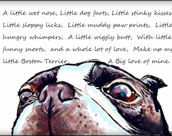 My little Boston Terrier  art print