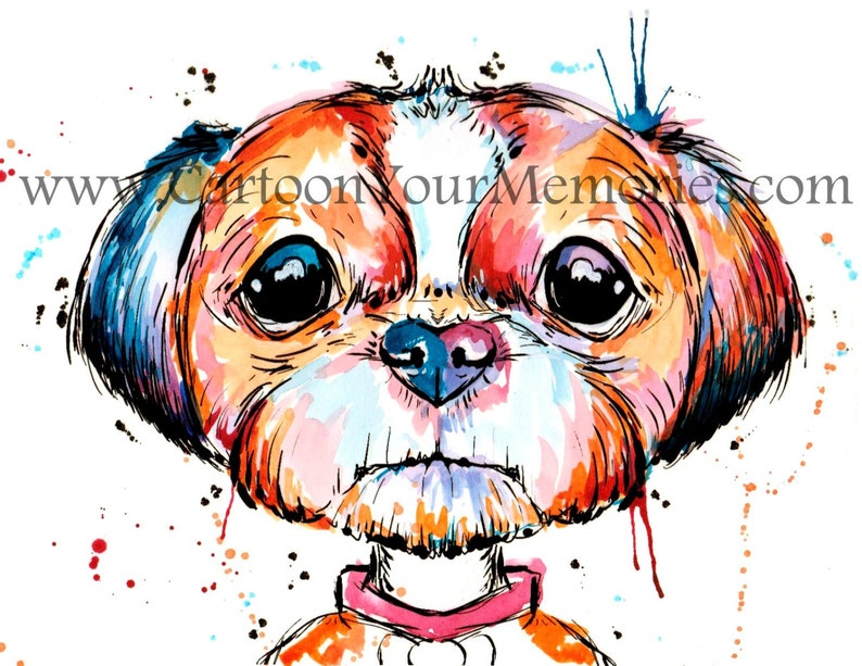 Shih Tzu Art Print image 1