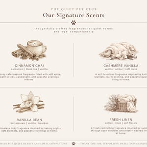 K&ouml;nnte beinhalten: Eine beige Infografik mit dem Titel The Quiet Pet Club Our Signature Scents, die vier sepiafarbene Illustrationen von Cinnamon Chai, Cashmere Vanilla, Vanilla Bean und Fresh Linen sowie beschreibenden Text f&uuml;r jedes Duftprofil enth&auml;lt.