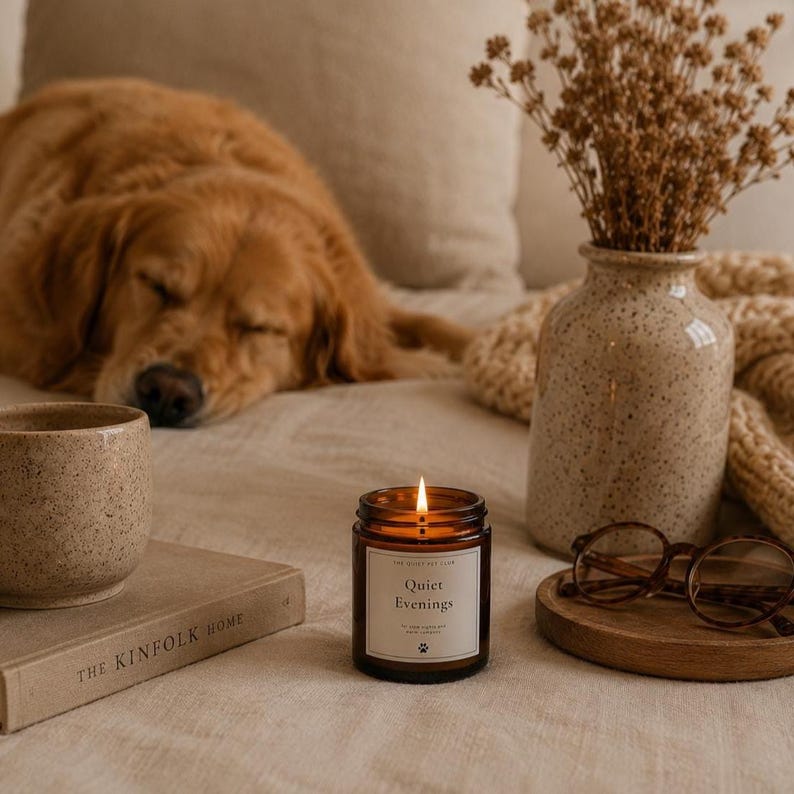 Kerze für ruhige Abende, gemütlicher Raumduft, Leseecke-Akzent, Kokosnuss-Apricot-Wachs, Slow Living Decor Bild 13