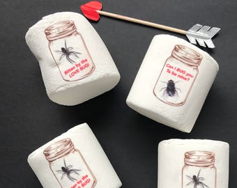 Boy Valentine Idea. Bug Unique class Favors. Spider. Fly. Arachnid Marshmallows. Valentine's Day Cards Gift. Mason Jar. Love Bug. Be Mine