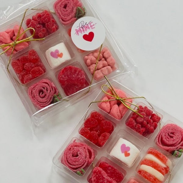 Valentine's Day Candy Box  | Candy Gram | V Day Charcuterie box | Marshmallow Gift | Gummy Candy | Candy Tackle Box | Treat Boxes for Kids