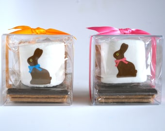 Easter Smores. Personalized Easter Basket Idea. Chocolate  Bunny. Marshmallows. Kids Gift Idea Peep. Pink Easter Basket. Fun Table Decor