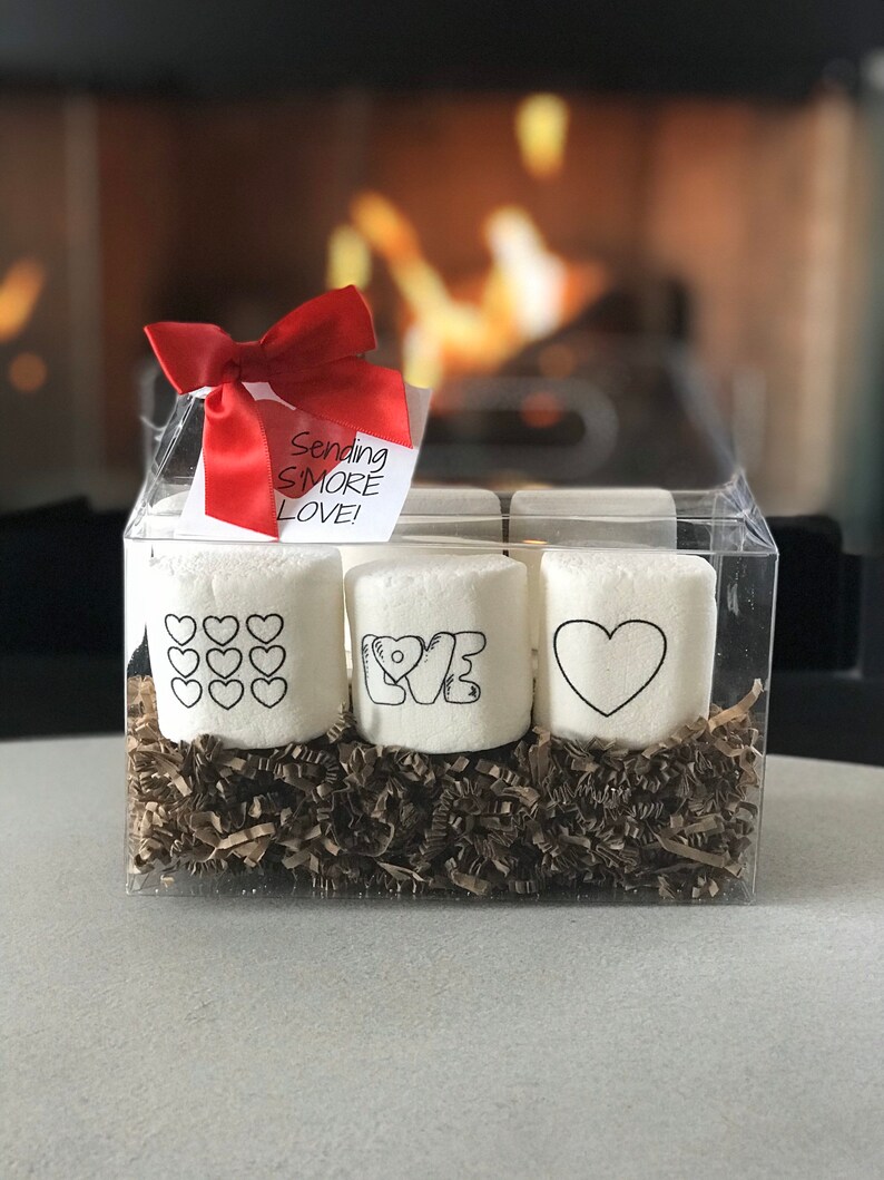 Quarantine Gift. Smore Kit . Family Activity. Paint Your Own. Etsy