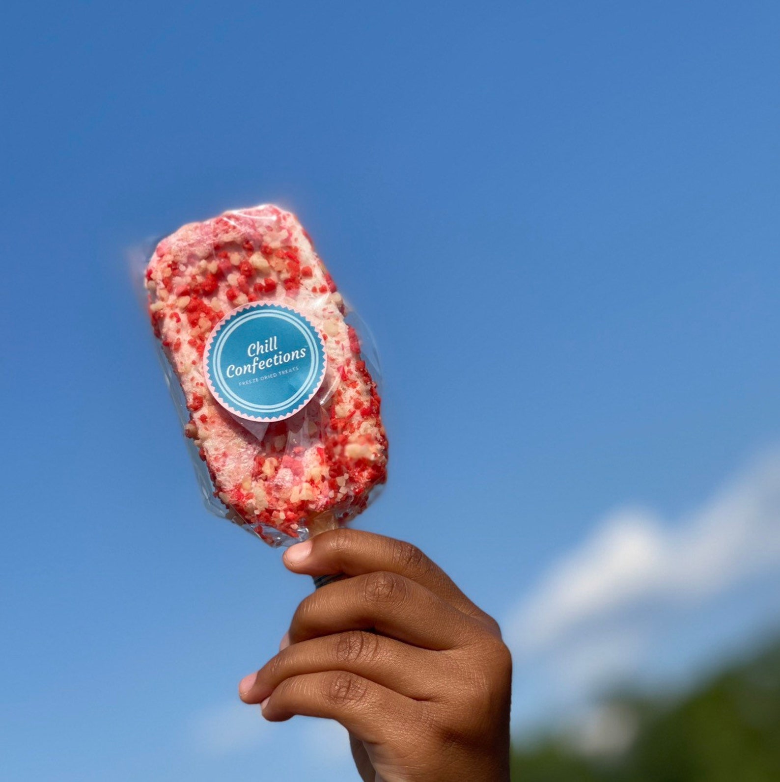 Freeze Dried Ice Cream Strawberry Shortcake Ice Cream Bar Etsy