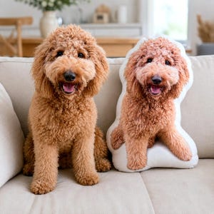 May include: A golden-brown curly-haired dog sitting upright next to a custom-shaped throw pillow featuring a high-resolution photographic print of the same dog breed with identical fur texture, color, and a happy expression with an open mouth.