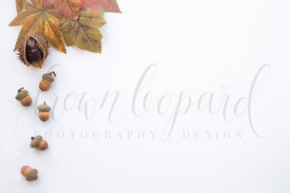 Styled Stock Photography 30; Artwork Mockup For Drawings Prints