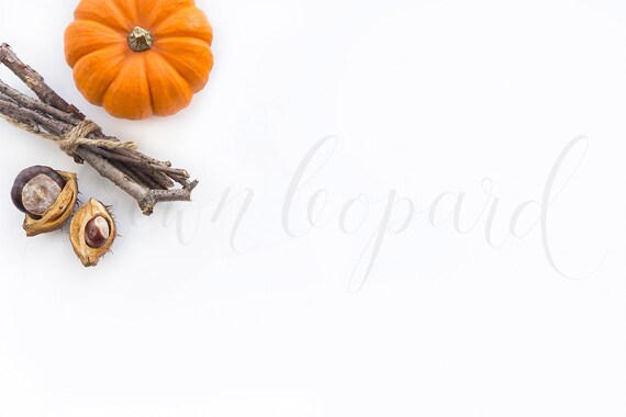 Styled Stock Photography 29; Artwork Mockup For Drawings Prints