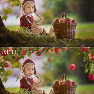 Apple Orchard photo overlays for Photoshop, creative fall overlays for Photographers, Photoshop actions, kids photography image 6