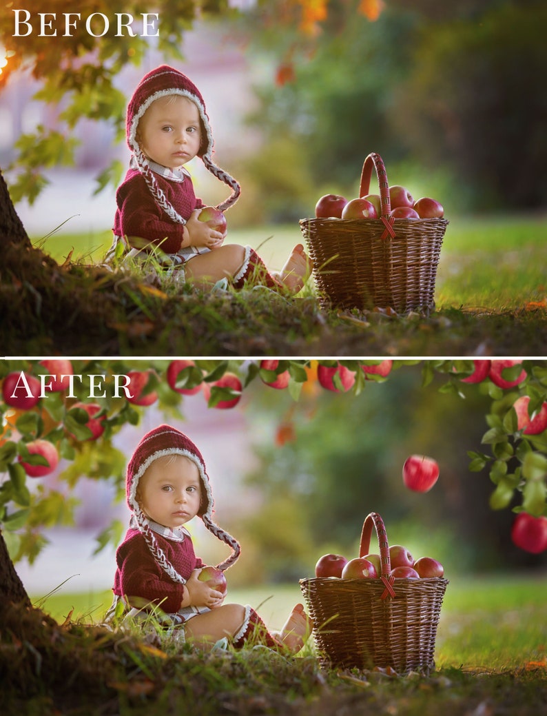 Apple Orchard photo overlays for Photoshop, creative fall overlays for Photographers, Photoshop actions, kids photography image 6