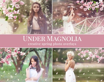 Puede incluir: Cuatro superposiciones de fotos digitales con una mujer con un vestido blanco de pie en un campo con flores de magnolia rosadas cayendo a su alrededor. El texto "UNDER MAGNOLIA creative spring photo overlays" se muestra en la parte inferior de la imagen.