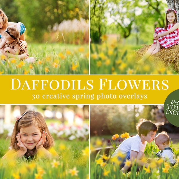 Spring photo overlays "Daffodils Flowers", creative narcissus photo overlays for Photoshop, actions for Photographers, spring minis