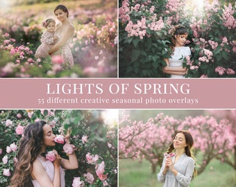 55 creative spring photo overlays for Photoshop, haze & lights overlays, great for spring mini sessions, child and family photography