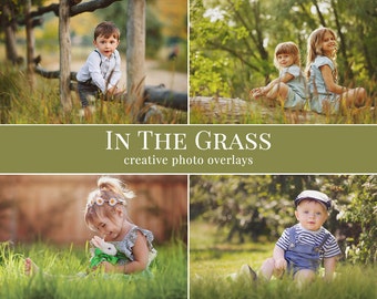 In the Grass Photo Overlays – Blurred Foreground Grass PNGs for Outdoor Photography, Dreamy Nature Edits, Photoshop & More