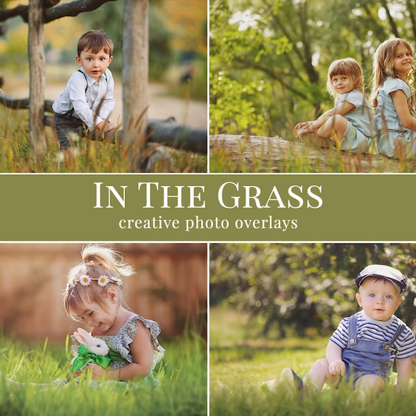 In the Grass Photo Overlays – Blurred Foreground Grass PNGs for Outdoor Photography, Dreamy Nature Edits, Photoshop & More