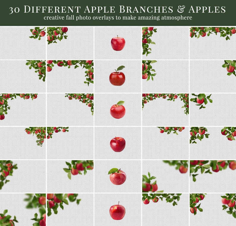 Apple Orchard photo overlays for Photoshop, creative fall overlays for Photographers, Photoshop actions, kids photography image 3
