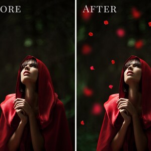 Petal photo overlays American Beauty, falling red rose petals photo overlay, Valentine's Day atmosphere, photo overlays for Photoshop image 5